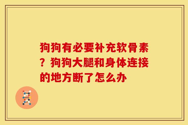 狗狗有必要补充软骨素？狗狗大腿和身体连接的地方断了怎么办