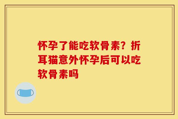 怀孕了能吃软骨素?折耳猫意外怀孕后可以吃软骨素吗 怀孕了能吃软骨素?折耳猫意外怀孕后可以吃软骨素吗
