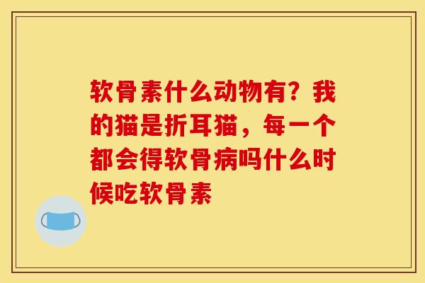 软骨素什么动物有?我的猫是折耳猫,每一个都会得软骨吗什么时候吃软骨素 软骨素什么动物有?我的猫是折耳猫,每一个都会得软骨吗什么时候吃软骨素
