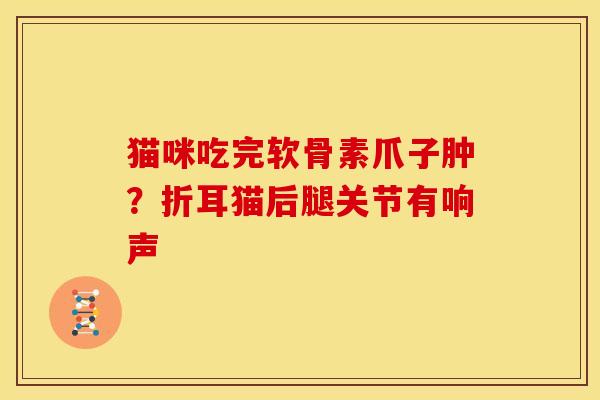 猫咪吃完软骨素爪子肿?折耳猫后腿关节有响声 猫咪吃完软骨素爪子肿?折耳猫后腿关节有响声