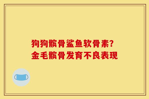 狗狗髌骨鲨鱼软骨素?金毛髌骨发育不良表现 狗狗髌骨鲨鱼软骨素?金毛髌骨发育不良表现