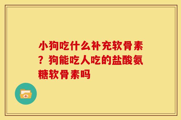 小狗吃什么补充软骨素?狗能吃人吃的盐酸氨糖软骨素吗 小狗吃什么补充软骨素?狗能吃人吃的盐酸氨糖软骨素吗