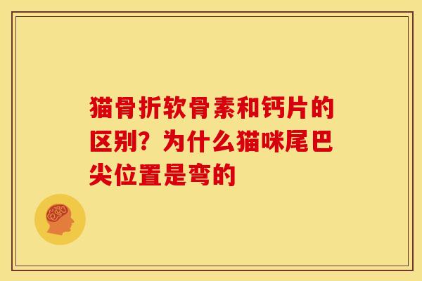 猫软骨素和钙片的区别？为什么猫咪尾巴尖位置是弯的