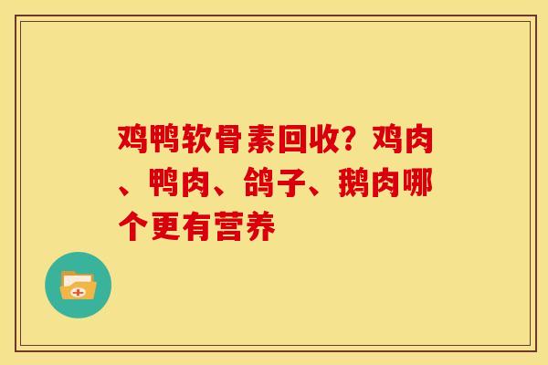 鸡鸭软骨素回收?鸡肉、鸭肉、鸽子、鹅肉哪个更有营养 鸡鸭软骨素回收?鸡肉、鸭肉、鸽子、鹅肉哪个更有营养