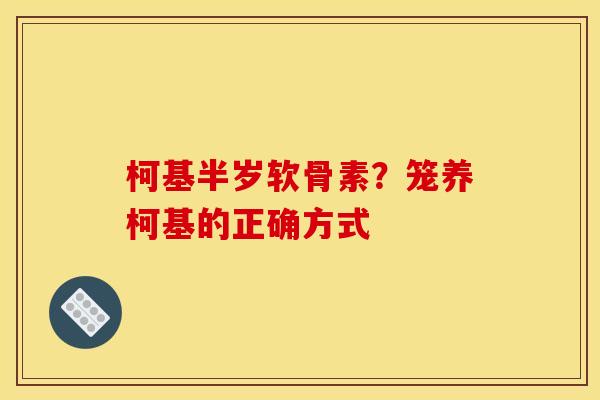 柯基半岁软骨素?笼养柯基的正确方式 柯基半岁软骨素?笼养柯基的正确方式