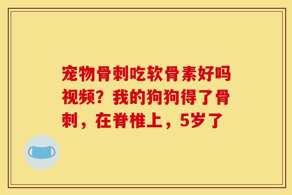 宠物吃软骨素好吗视频？我的狗狗得了，在脊椎上，5岁了
