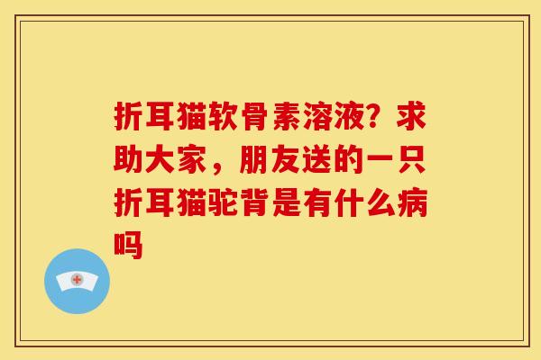 折耳猫软骨素溶液？求助大家，朋友送的一只折耳猫驼背是有什么吗