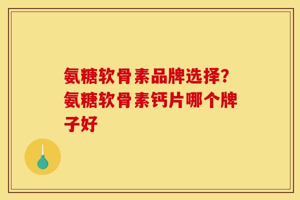 氨糖软骨素品牌选择？氨糖软骨素钙片哪个牌子好
