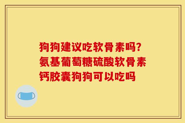 狗狗建议吃软骨素吗？氨基葡萄糖硫酸软骨素钙胶囊狗狗可以吃吗