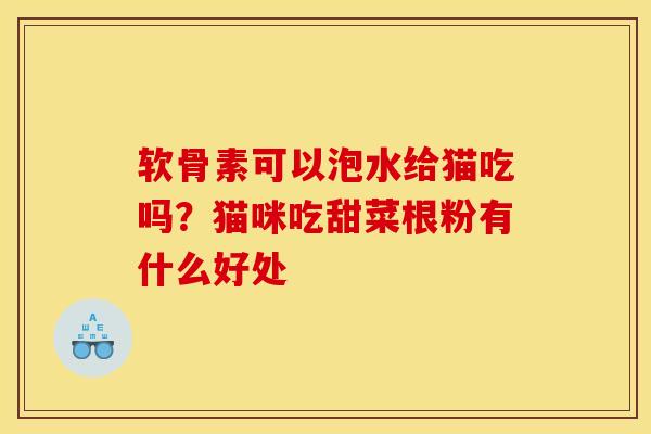 软骨素可以泡水给猫吃吗?猫咪吃甜菜根粉有什么好处 软骨素可以泡水给猫吃吗?猫咪吃甜菜根粉有什么好处