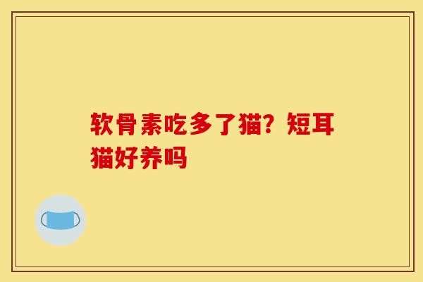软骨素吃多了猫?短耳猫好养吗 软骨素吃多了猫?短耳猫好养吗