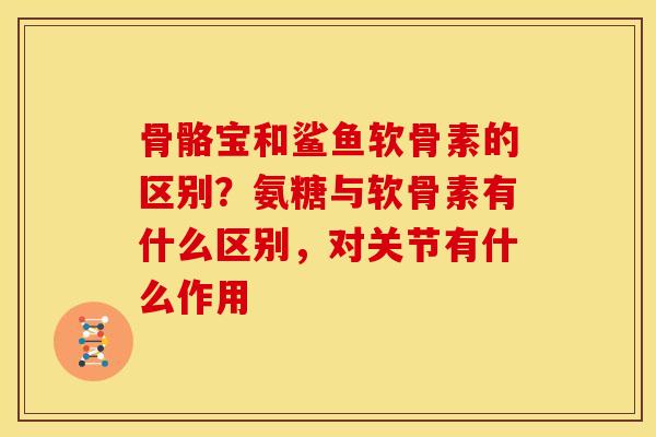 骨骼宝和鲨鱼软骨素的区别？氨糖与软骨素有什么区别，对关节有什么作用