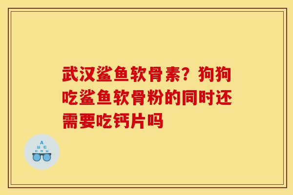 武汉鲨鱼软骨素?狗狗吃鲨鱼软骨粉的同时还需要吃钙片吗 武汉鲨鱼软骨素?狗狗吃鲨鱼软骨粉的同时还需要吃钙片吗