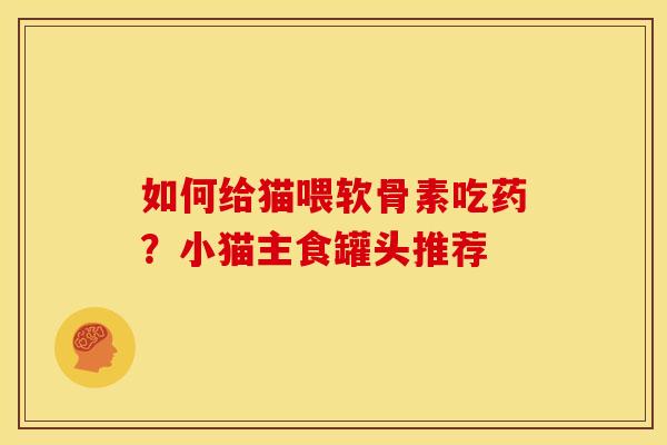 如何给猫喂软骨素吃药？小猫主食罐头推荐