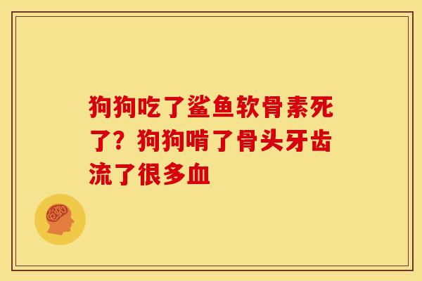 狗狗吃了鲨鱼软骨素死了？狗狗啃了骨头牙齿流了很多