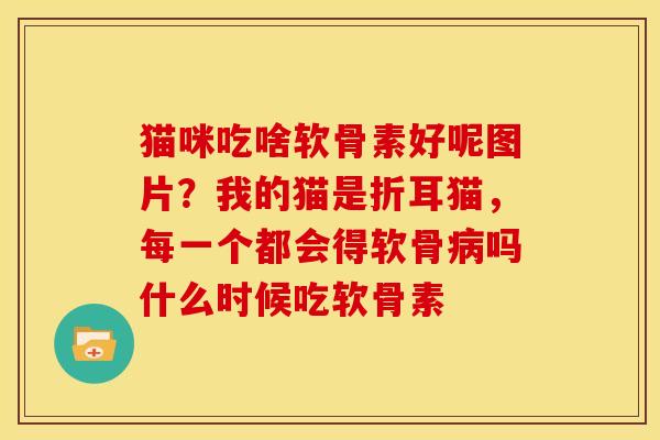 猫咪吃啥软骨素好呢图片？我的猫是折耳猫，每一个都会得软骨吗什么时候吃软骨素
