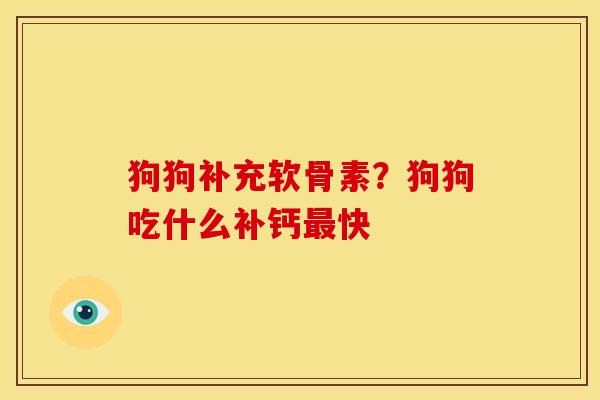 狗狗补充软骨素?狗狗吃什么补钙快 狗狗补充软骨素?狗狗吃什么补钙快