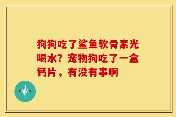 狗狗吃了鲨鱼软骨素光喝水?宠物狗吃了一盒钙片,有没有事啊 狗狗吃了鲨鱼软骨素光喝水?宠物狗吃了一盒钙片,有没有事啊