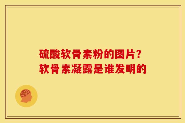 硫酸软骨素粉的图片?软骨素凝露是谁发明的 硫酸软骨素粉的图片?软骨素凝露是谁发明的