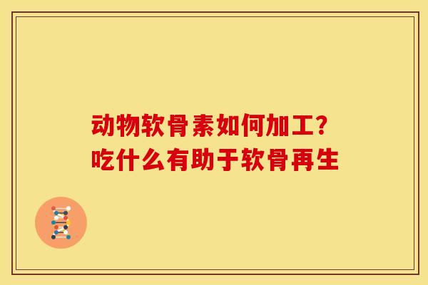 动物软骨素如何加工?吃什么有助于软骨再生 动物软骨素如何加工?吃什么有助于软骨再生