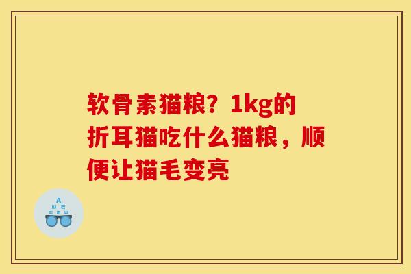 软骨素猫粮？1kg的折耳猫吃什么猫粮，顺便让猫毛变亮