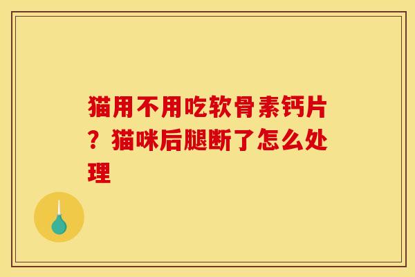 猫用不用吃软骨素钙片?猫咪后腿断了怎么处理 猫用不用吃软骨素钙片?猫咪后腿断了怎么处理