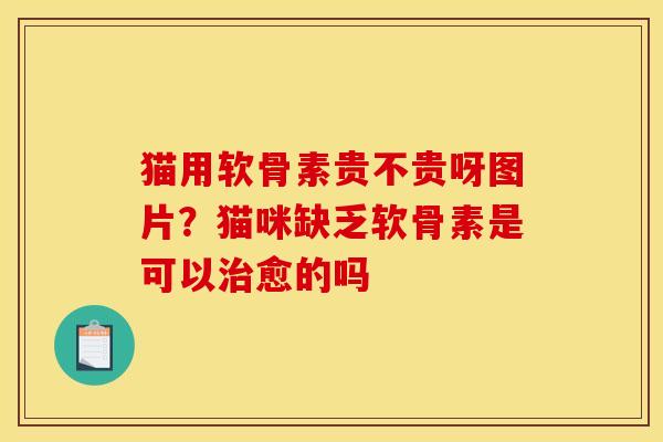 猫用软骨素贵不贵呀图片?猫咪缺乏软骨素是可以愈的吗 猫用软骨素贵不贵呀图片?猫咪缺乏软骨素是可以愈的吗