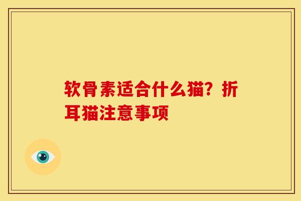 软骨素适合什么猫?折耳猫注意事项 软骨素适合什么猫?折耳猫注意事项