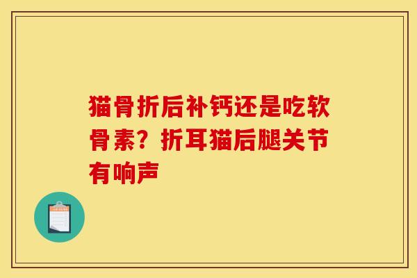 猫后补钙还是吃软骨素？折耳猫后腿关节有响声