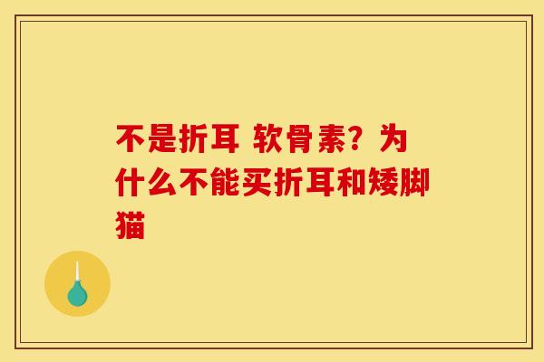 不是折耳 软骨素?为什么不能买折耳和矮脚猫 不是折耳 软骨素?为什么不能买折耳和矮脚猫