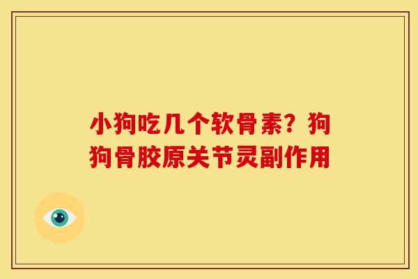 小狗吃几个软骨素?狗狗骨胶原关节灵副作用 小狗吃几个软骨素?狗狗骨胶原关节灵副作用
