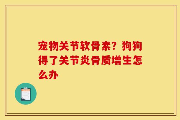 宠物关节软骨素？狗狗得了怎么办