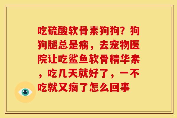 吃硫酸软骨素狗狗？狗狗腿总是瘸，去宠物医院让吃鲨鱼软骨精华素，吃几天就好了，一不吃就又瘸了怎么回事