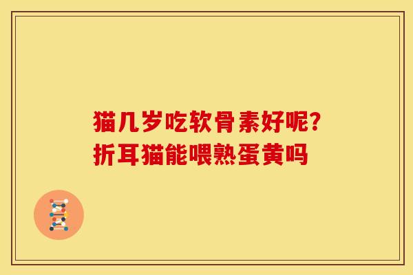 猫几岁吃软骨素好呢?折耳猫能喂熟蛋黄吗 猫几岁吃软骨素好呢?折耳猫能喂熟蛋黄吗