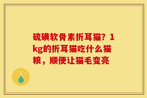 硫磺软骨素折耳猫?1kg的折耳猫吃什么猫粮,顺便让猫毛变亮 硫磺软骨素折耳猫?1kg的折耳猫吃什么猫粮,顺便让猫毛变亮
