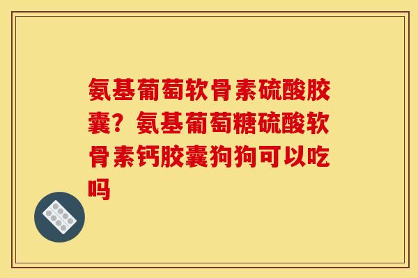 氨基葡萄软骨素硫酸胶囊?氨基葡萄糖硫酸软骨素钙胶囊狗狗可以吃吗 氨基葡萄软骨素硫酸胶囊?氨基葡萄糖硫酸软骨素钙胶囊狗狗可以吃吗