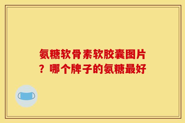 氨糖软骨素软胶囊图片？哪个牌子的氨糖好