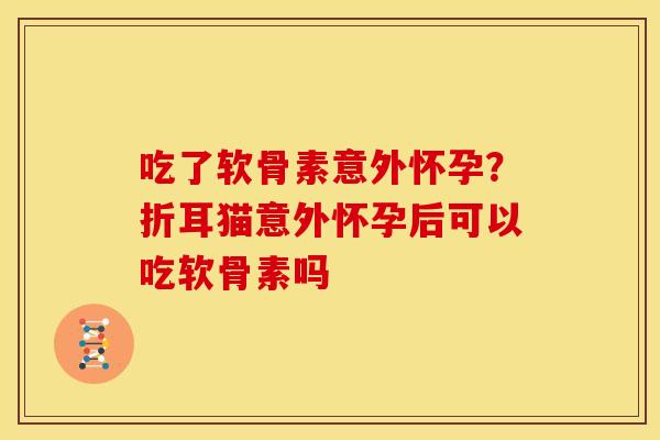 吃了软骨素意外怀孕？折耳猫意外怀孕后可以吃软骨素吗
