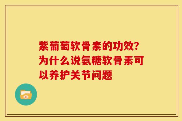 紫葡萄软骨素的功效?为什么说氨糖软骨素可以养护关节问题 紫葡萄软骨素的功效?为什么说氨糖软骨素可以养护关节问题