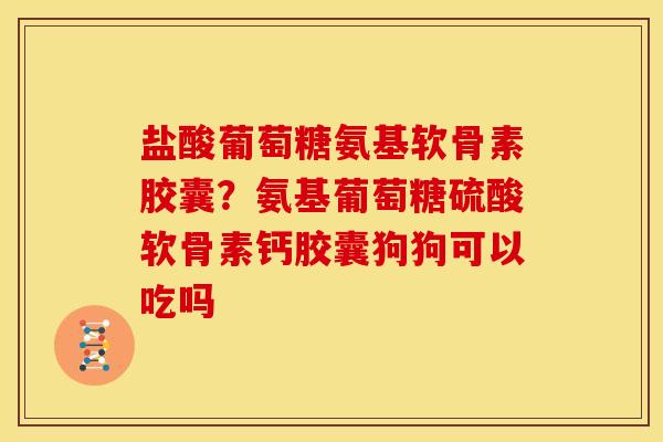 盐酸葡萄糖氨基软骨素胶囊?氨基葡萄糖硫酸软骨素钙胶囊狗狗可以吃吗 盐酸葡萄糖氨基软骨素胶囊?氨基葡萄糖硫酸软骨素钙胶囊狗狗可以吃吗
