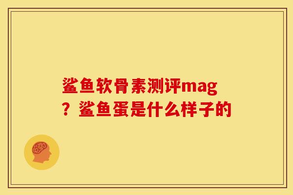 鲨鱼软骨素测评mag？鲨鱼蛋是什么样子的