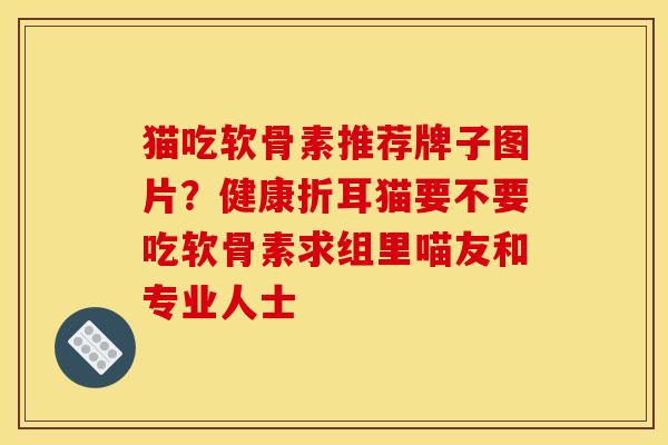 猫吃软骨素推荐牌子图片?健康折耳猫要不要吃软骨素求组里喵友和专业人士 猫吃软骨素推荐牌子图片?健康折耳猫要不要吃软骨素求组里喵友和专业人士