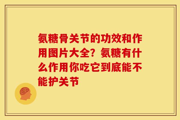 氨糖骨关节的功效和作用图片大全？氨糖有什么作用你吃它到底能不能护关节