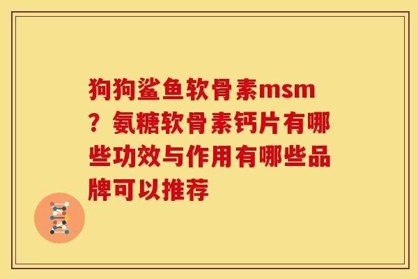 狗狗鲨鱼软骨素msm?氨糖软骨素钙片有哪些功效与作用有哪些品牌可以推荐 狗狗鲨鱼软骨素msm?氨糖软骨素钙片有哪些功效与作用有哪些品牌可以推荐