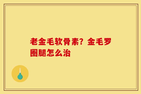 老金毛软骨素?金毛罗圈腿怎么 老金毛软骨素?金毛罗圈腿怎么