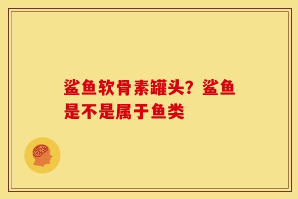 鲨鱼软骨素罐头？鲨鱼是不是属于鱼类
