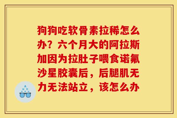 狗狗吃软骨素拉稀怎么办?六个月大的阿拉斯加因为拉肚子喂食诺氟沙星胶囊后,后腿肌无力无法站立,该怎么办 狗狗吃软骨素拉稀怎么办?六个月大的阿拉斯加因为拉肚子喂食诺氟沙星胶囊后,后腿肌无力无法站立,该怎么办