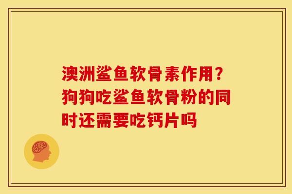 澳洲鲨鱼软骨素作用?狗狗吃鲨鱼软骨粉的同时还需要吃钙片吗 澳洲鲨鱼软骨素作用?狗狗吃鲨鱼软骨粉的同时还需要吃钙片吗