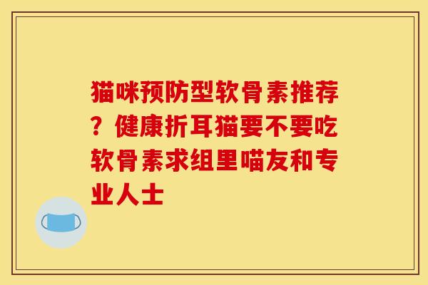 猫咪型软骨素推荐？健康折耳猫要不要吃软骨素求组里喵友和专业人士