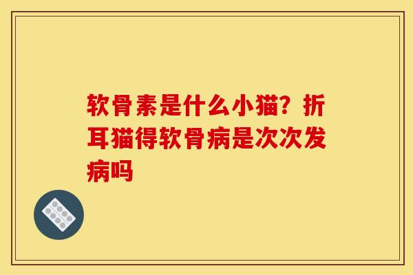 软骨素是什么小猫?折耳猫得软骨是次次发吗 软骨素是什么小猫?折耳猫得软骨是次次发吗